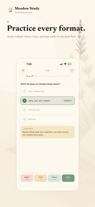 Meadow Study Screenshot 3 of 6