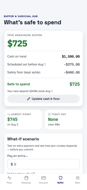 PAYMENT PULSE screenshot 4