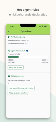 Mijn Stad Holland Screenshot 7 of 8