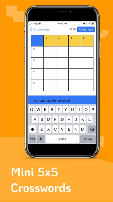 Mini 5x5 Crosswords Screenshot