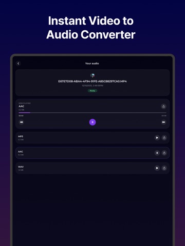 Convert Video to Audio: TheAud iPad screenshot