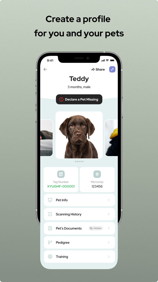 #2. Global Pet Security (iOS) 由: Paul Miller
