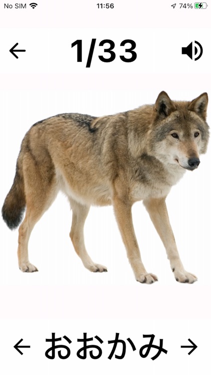 Flashcard Japanese beginner