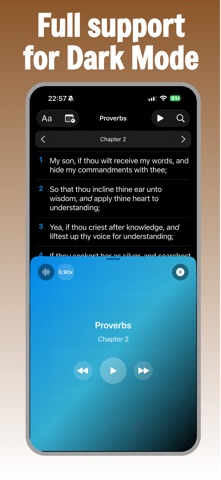 King James Bible -Offline chat iPhone screenshot