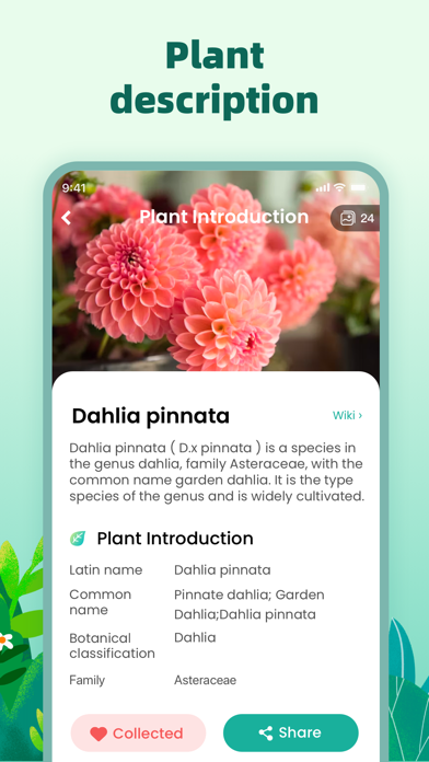 Plant Identifier: Plant Master Screenshot