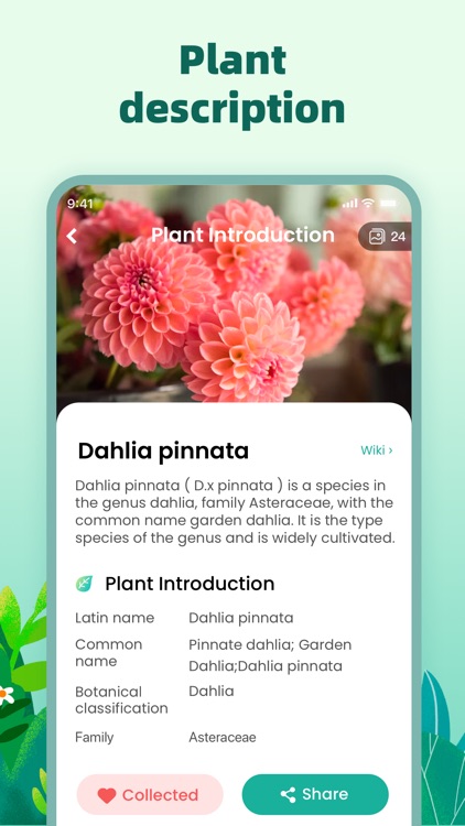 Plant Identifier: Plant Master
