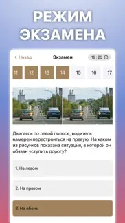 ГАИ Билеты ПДД 2024 айфон картинки 3