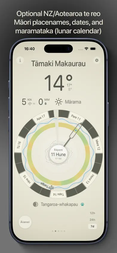 Southerly screenshot 5
