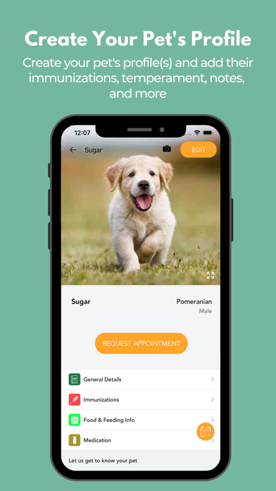 The Magic Dog Bus Screenshot