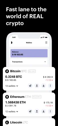 Paybis Wallet: Screenshot 3 von 9