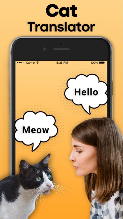 Cat Translator