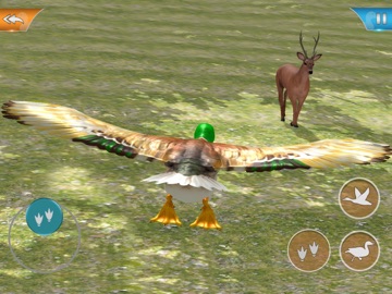 Duck Game Bird Simulator iPad screenshot