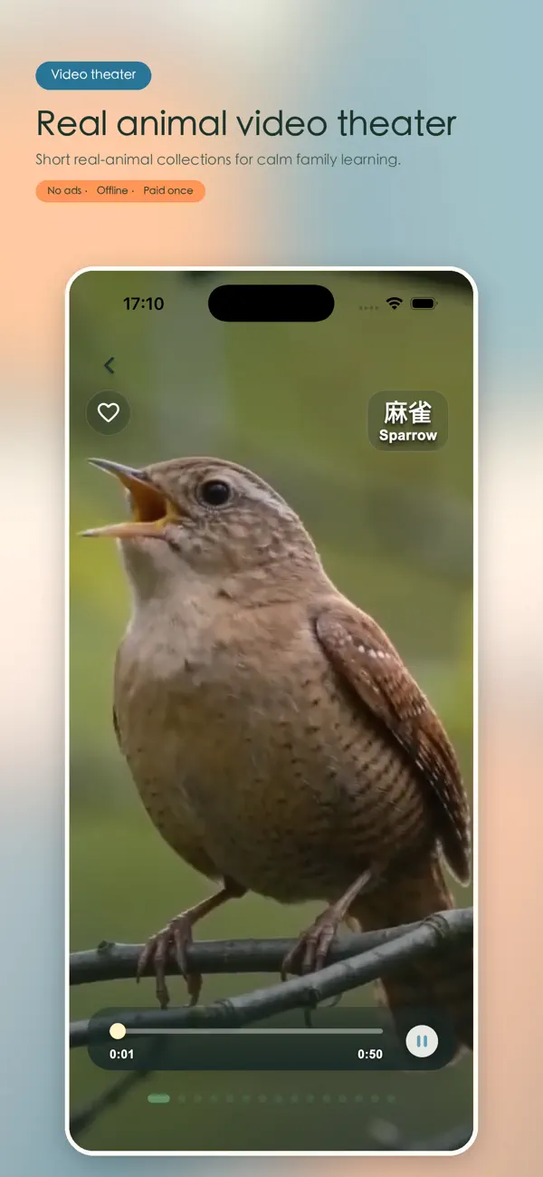 Screenshot #3 pour Little Zoo Sounds