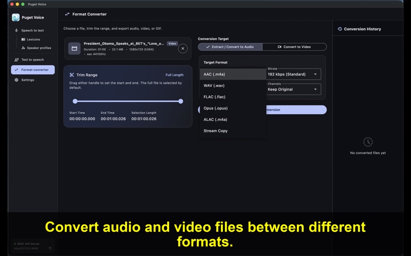 Puget Voice screenshot