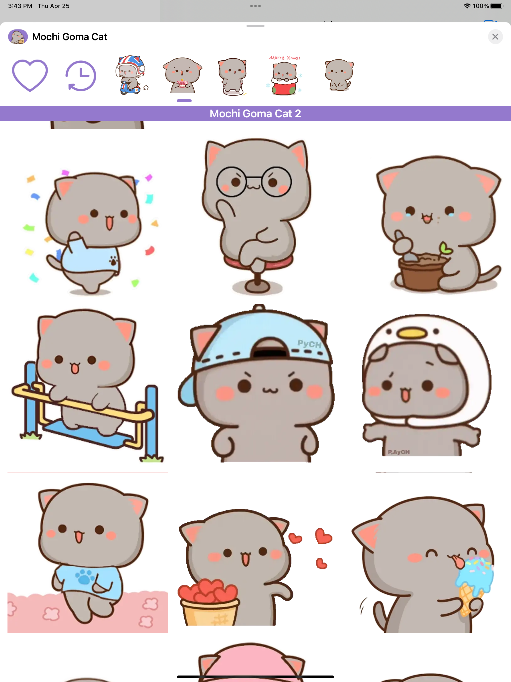 Mochi Goma Cat