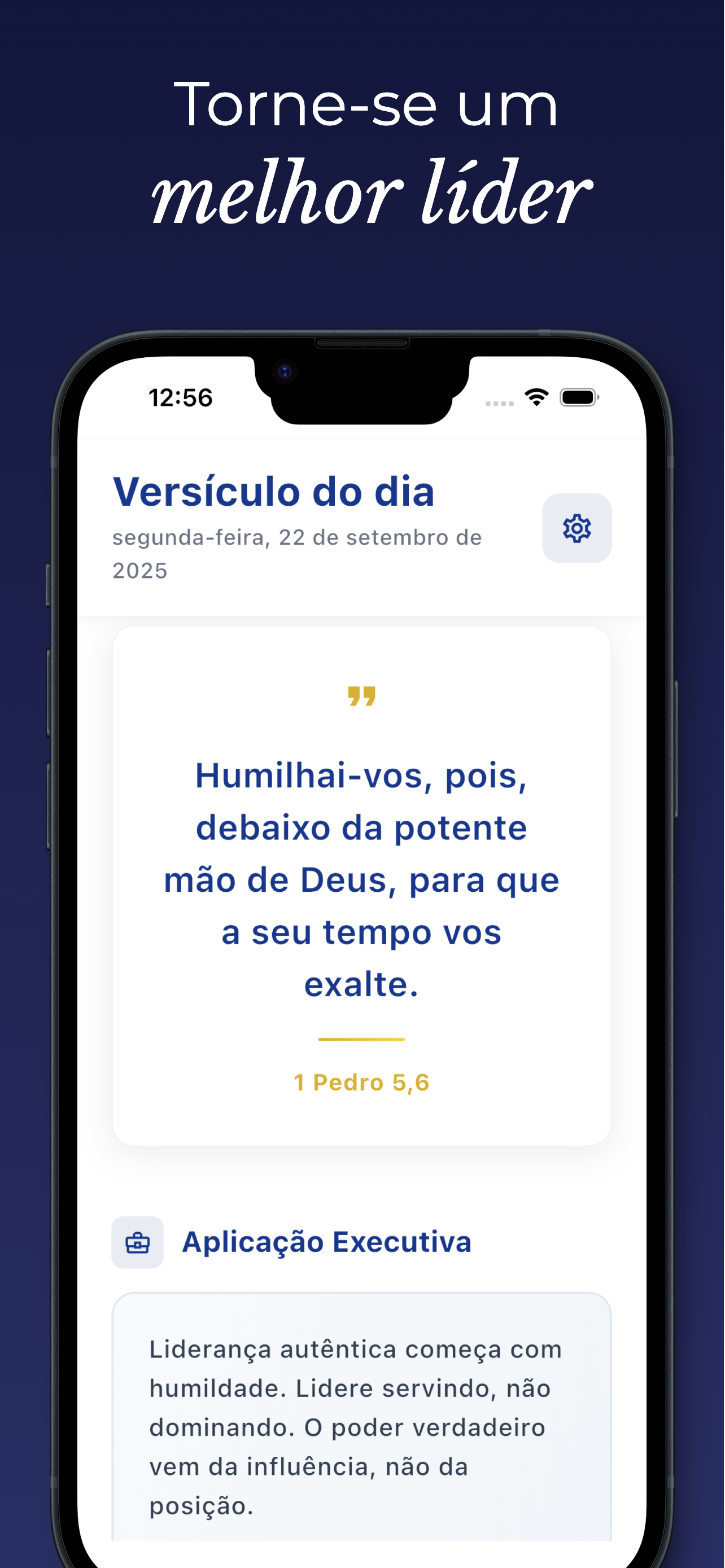 Bíblia Executiva screenshot 4