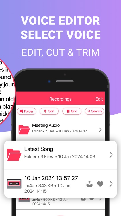 Voice Recorder - Audio & Memos screenshot-3