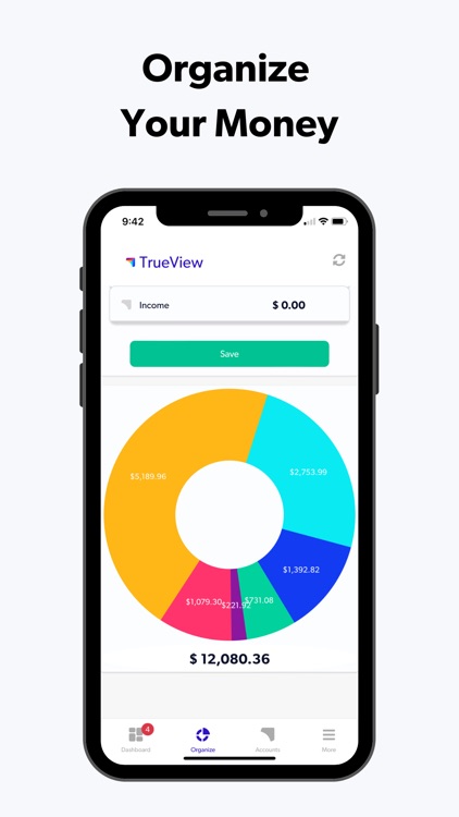 TrueView: Money Organizer screenshot-3