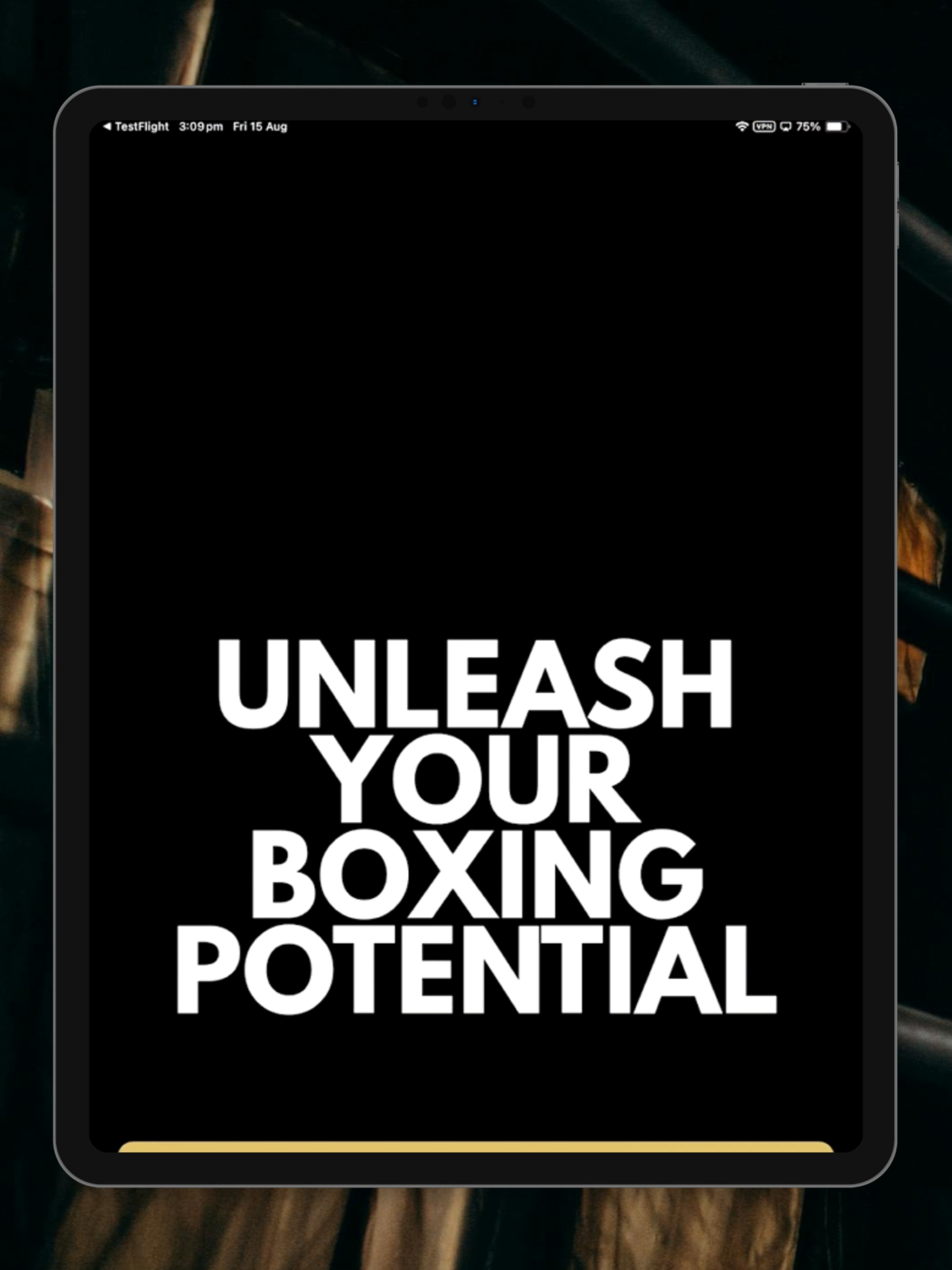 Boxing IQ