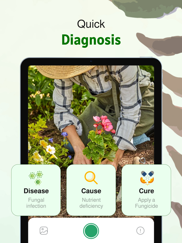 PlantPro Identifier  Disease