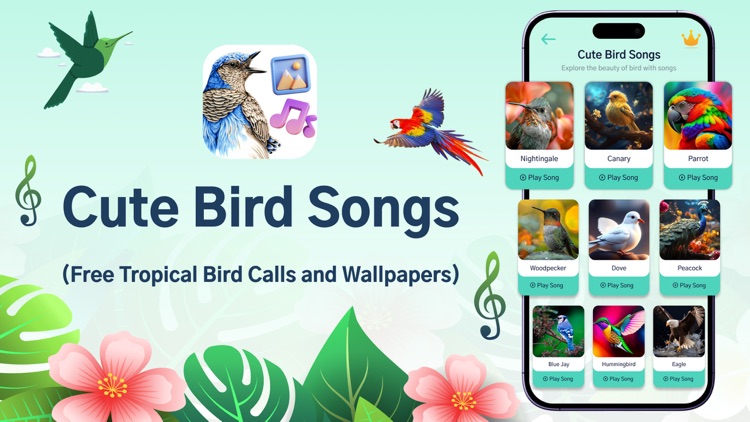 Cute Bird Songs & HD Wallapper