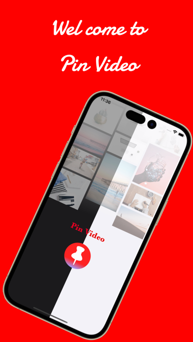 Pin Video Screenshot