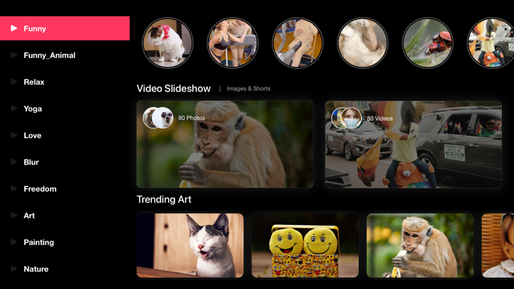 Screenshot #1 pour TV Gallery, Videos & Photos
