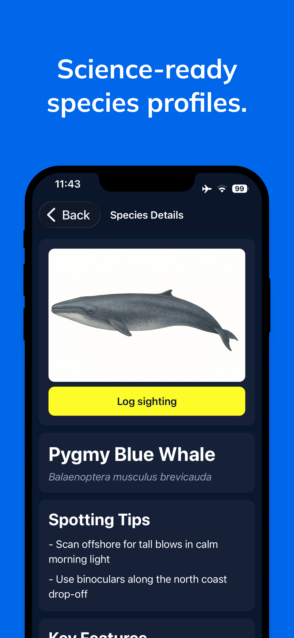 Whale Spotter - Timor-Leste screenshot 3