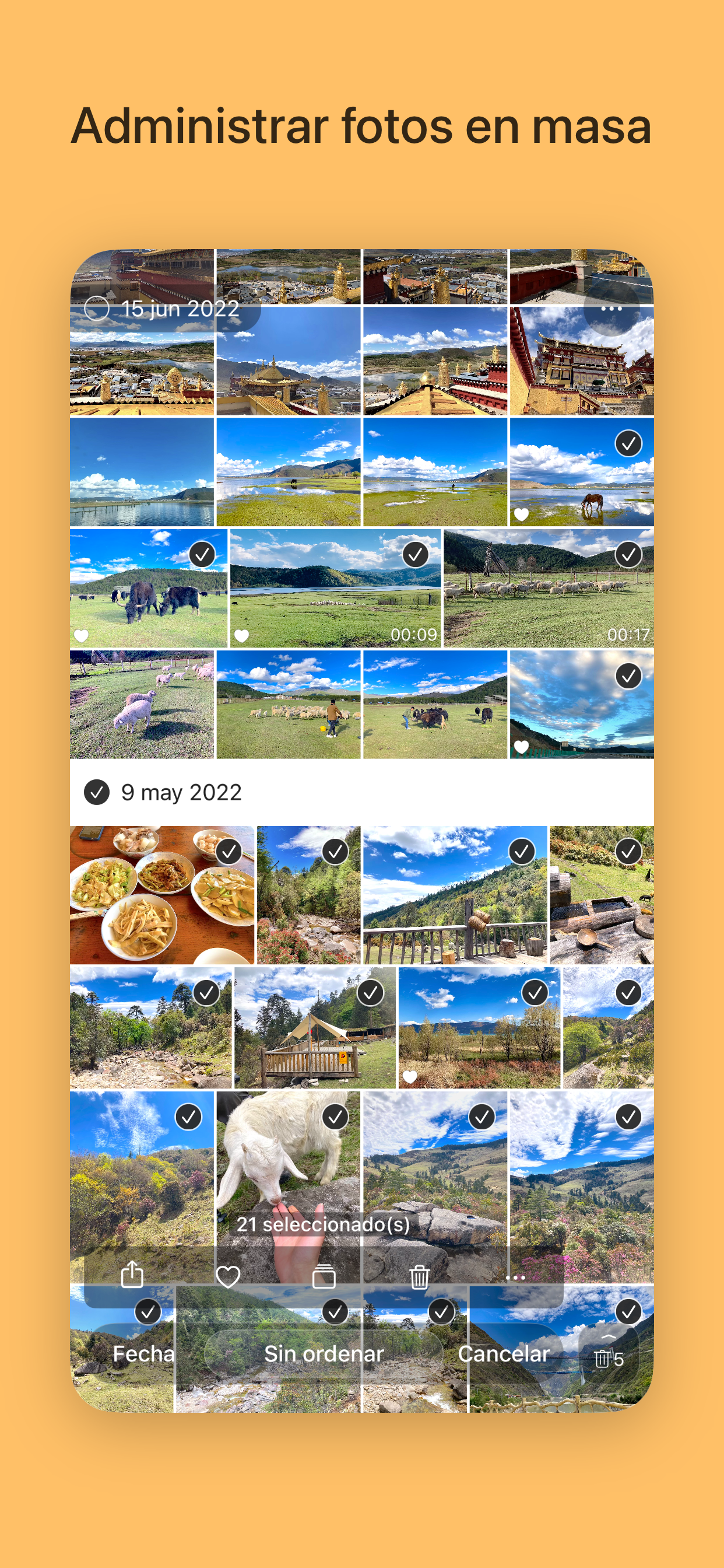 YoPhoto