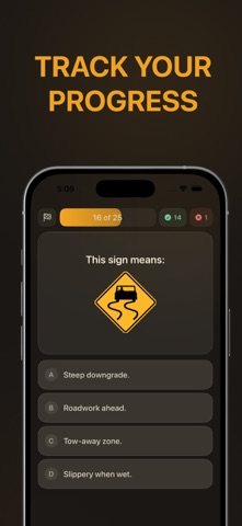 New York DMV NY: Practice Test iPhone screenshot