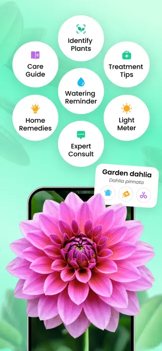 Plant Parent: Screenshot 8 von 8