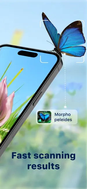 Bug Identifier: Butterfly ID screenshot 2