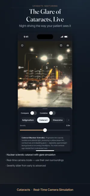 Vision Simulator: Eye Disease screenshot 2