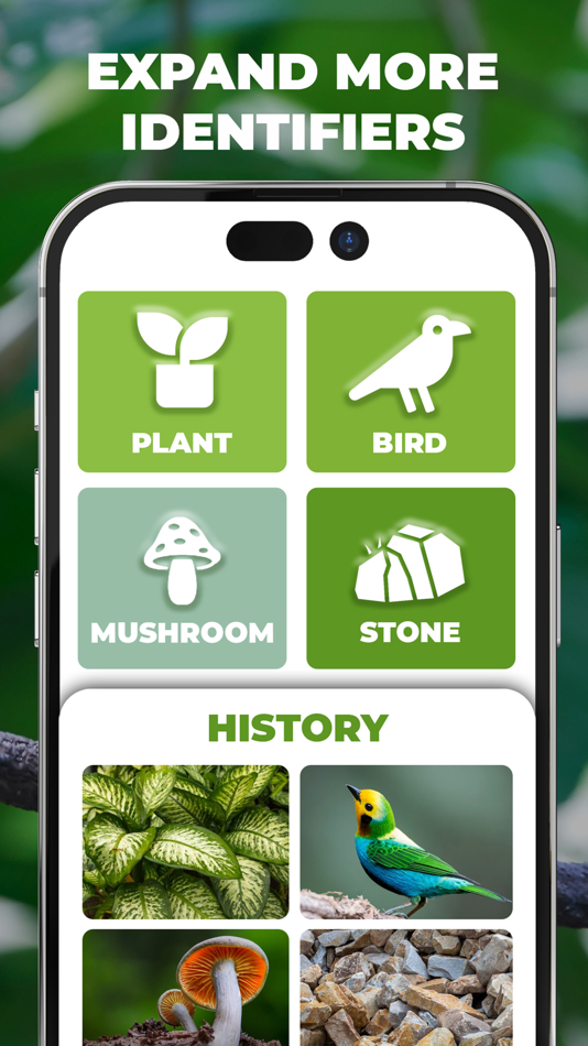 #6. Planet - AI Plant Identifier (iOS) 由: Nhu Ngoc Le