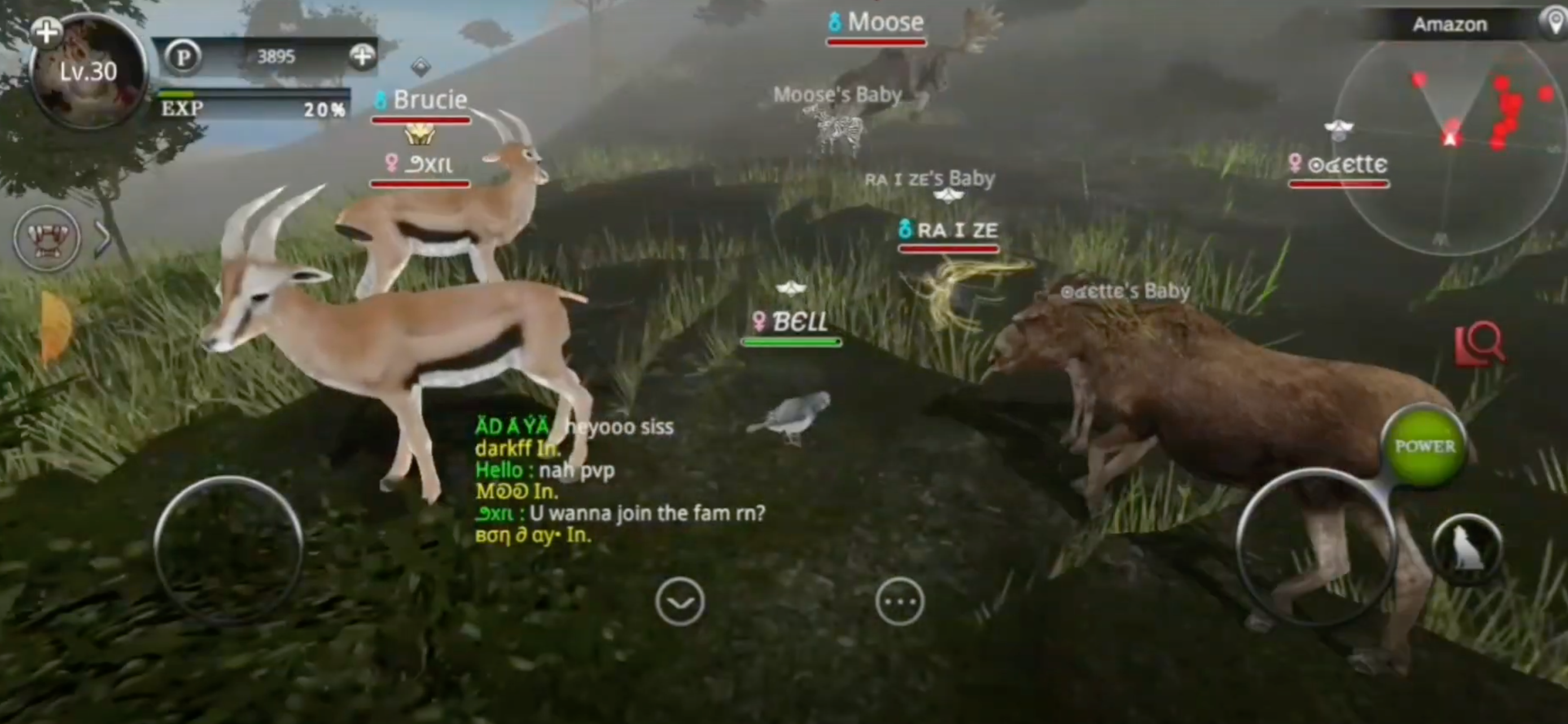 Wild Animals Online(WAO)