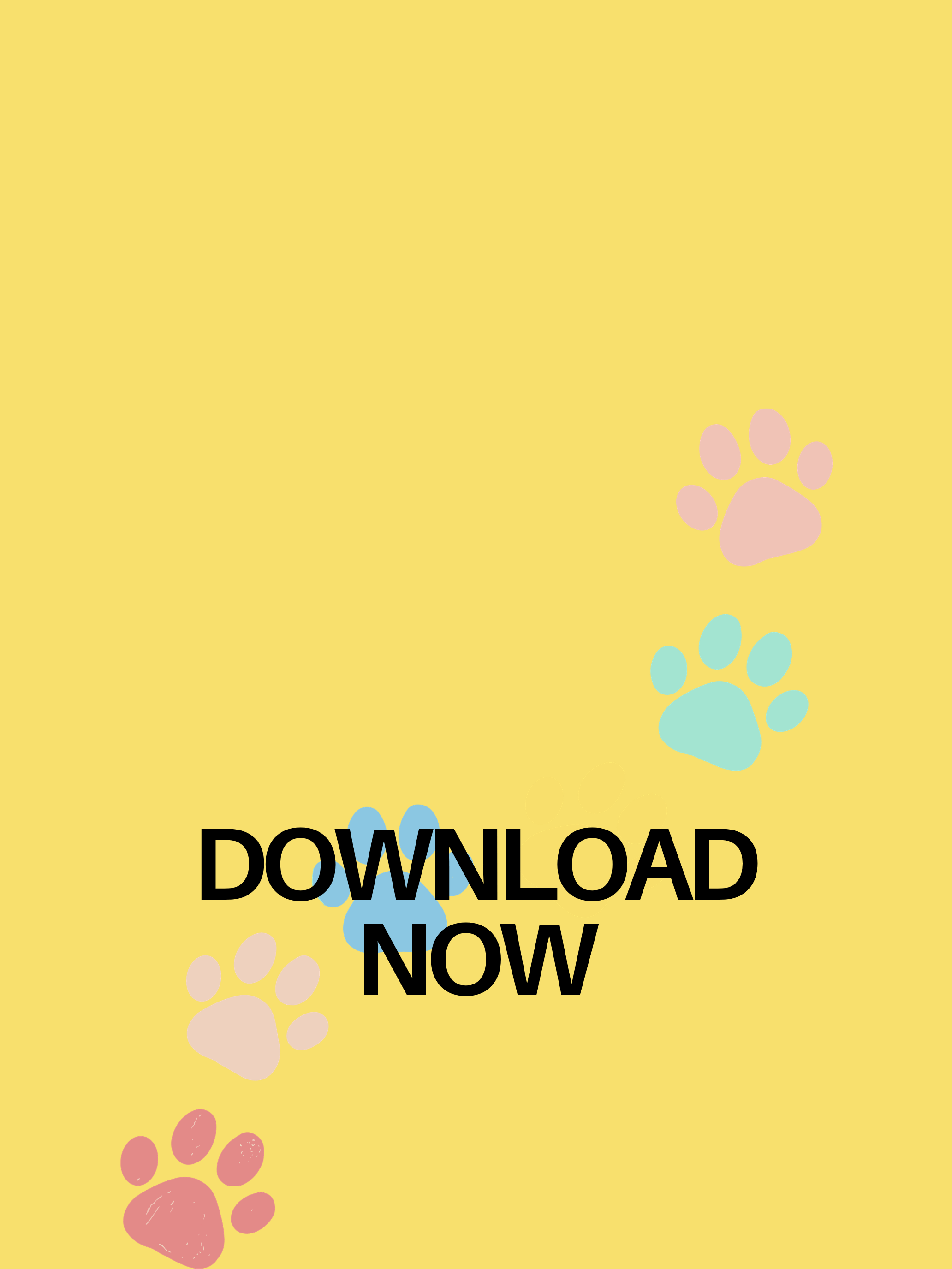 Firu Firu Dog Training screenshot 16