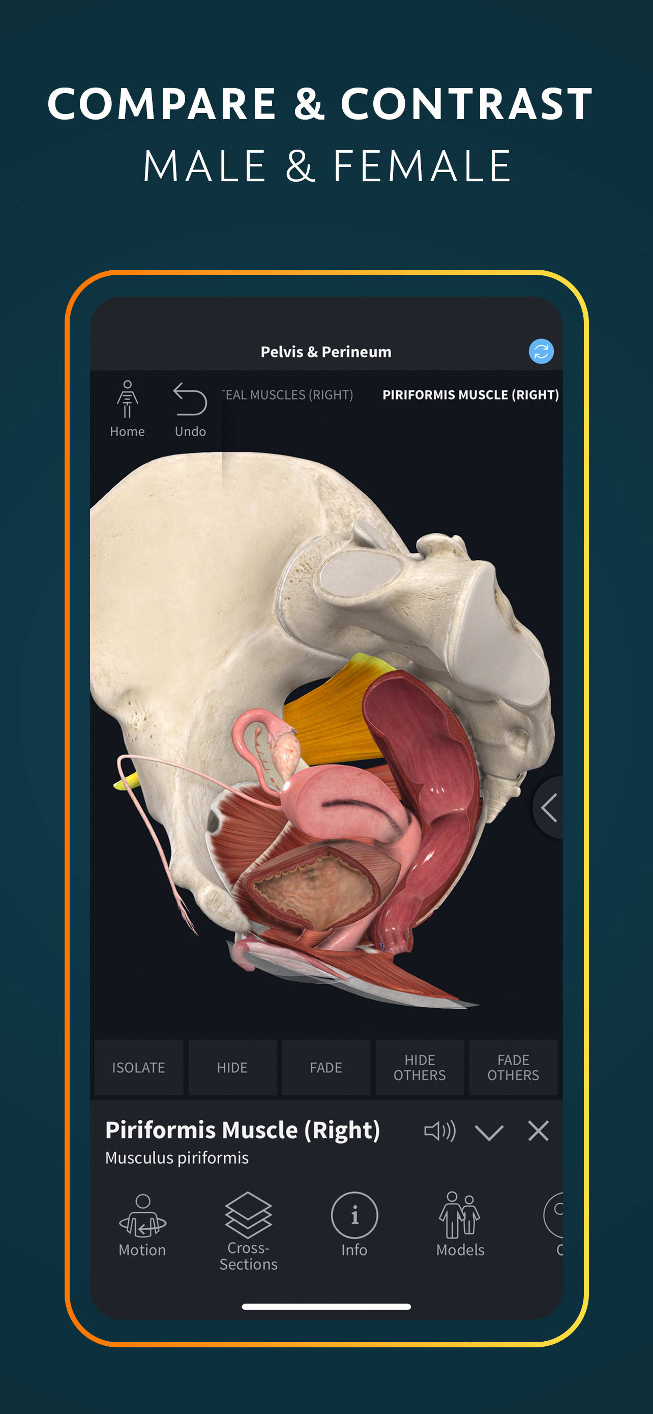 Complete Anatomy for iPhone