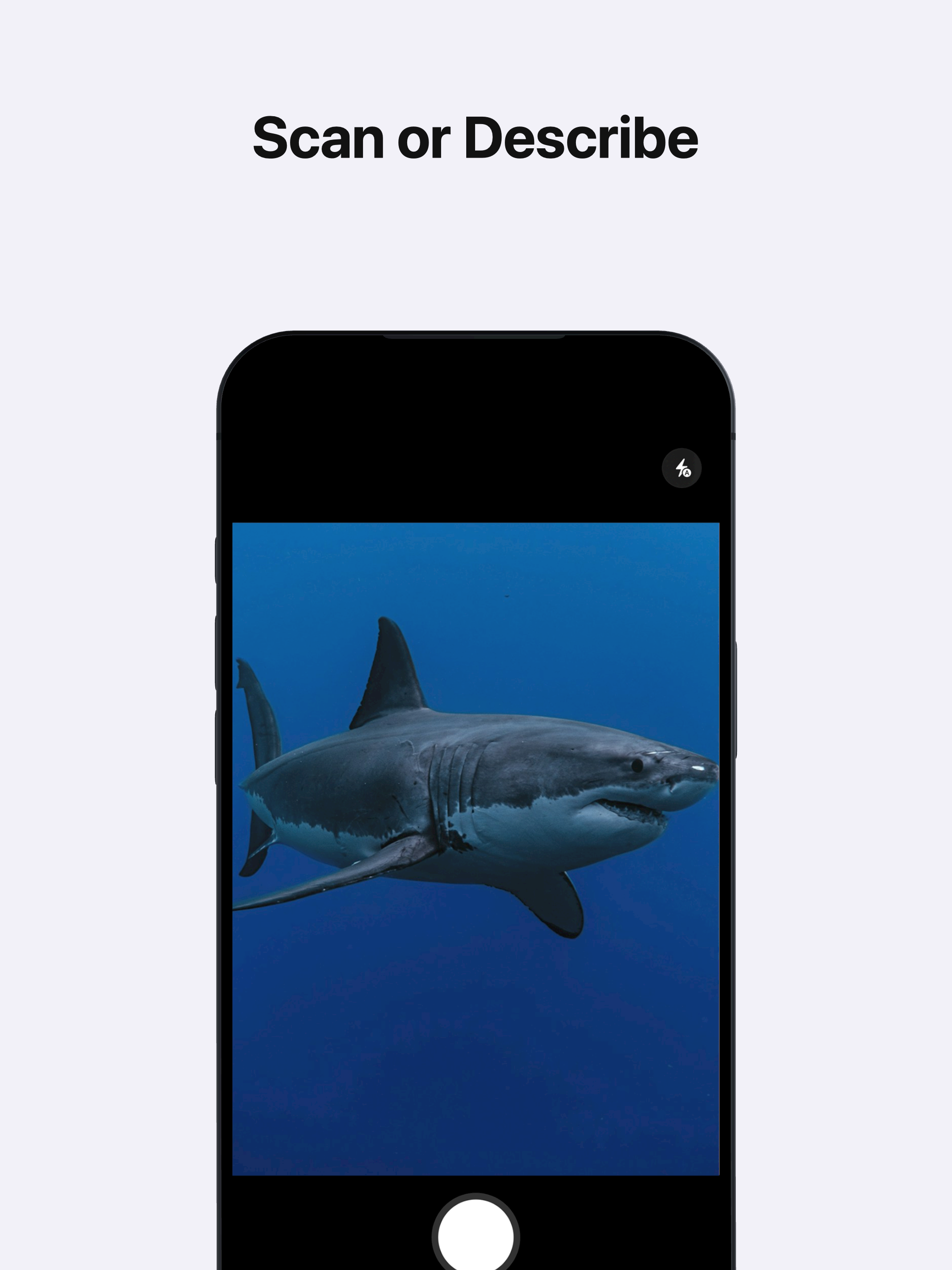 AI Fish Identifier by Photo screenshot 6