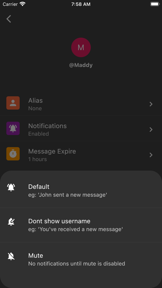 #4. Hush Messenger - Private Text (iOS) 由: MYRIADLOOP PTE. LTD.
