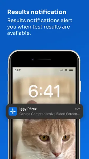 IDEXX VetConnect® PLUS screenshot 3