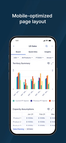 Anaplan screenshot
