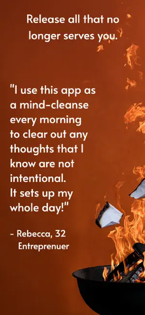 Burn Notes screenshot 4