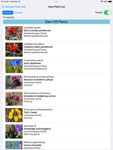 Northeast Mexico Wildflowers iPad screenshot