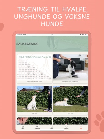 Vild med Poter – hundeunivers ipad screenshot 4
