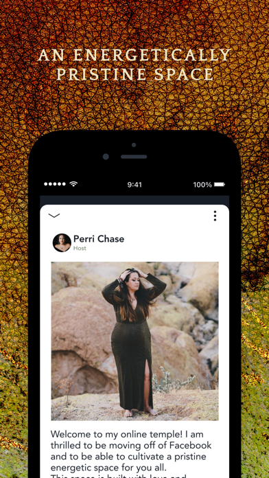 Screenshot #1 pour Perri Chase