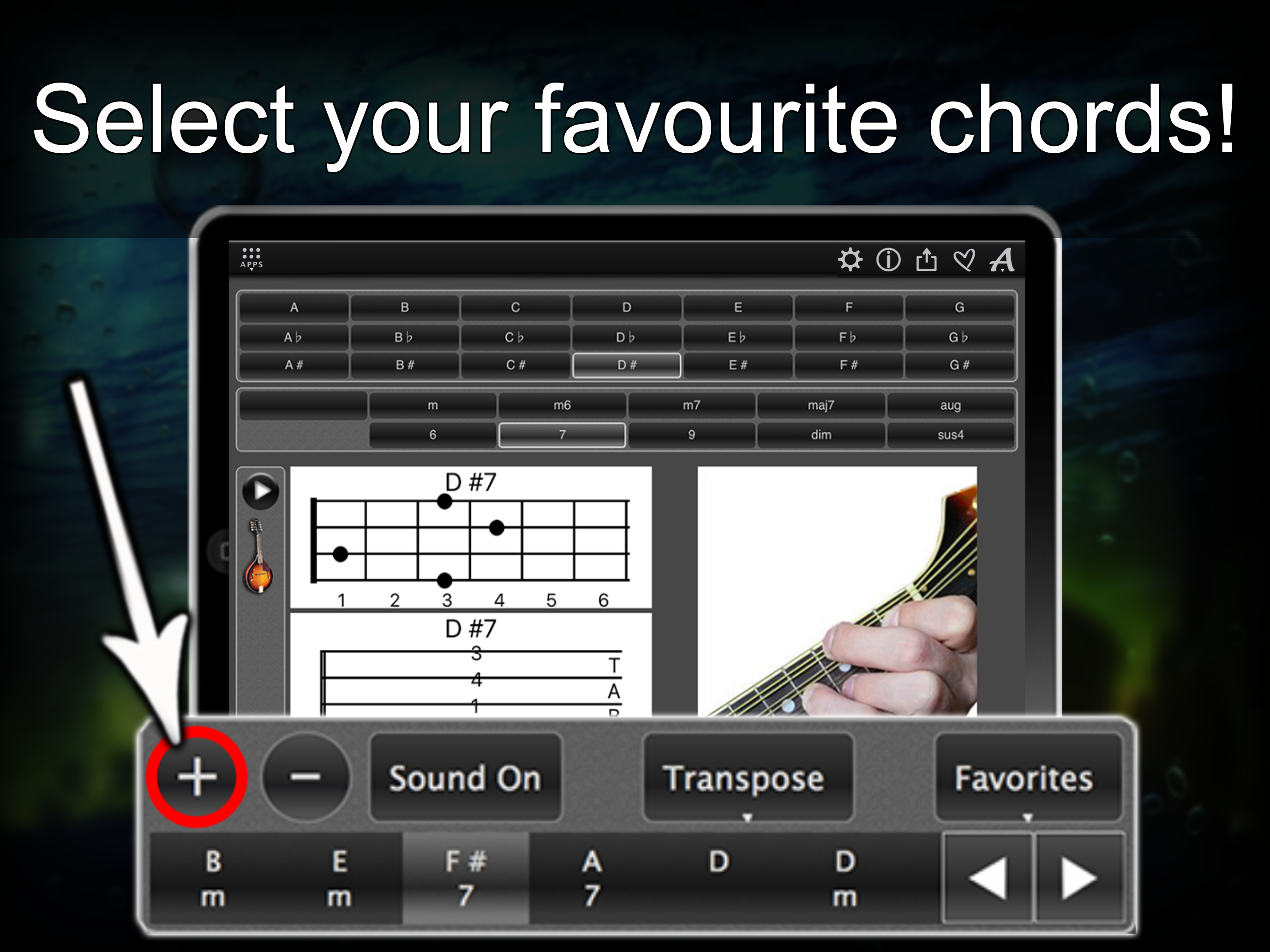 120 Mandolin Chords Pro screenshot 15