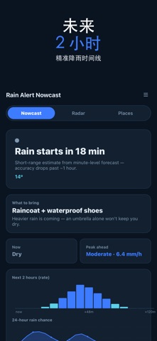 Rain Alert Nowcast screenshot