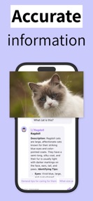 Cat Breed Identifier Pet Scan screenshot
