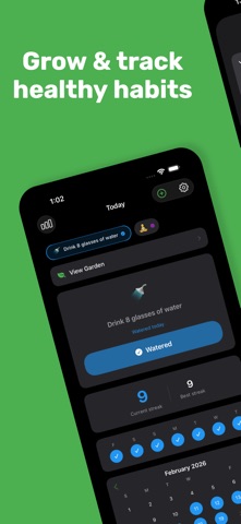 StreakSeed iPhone screenshot