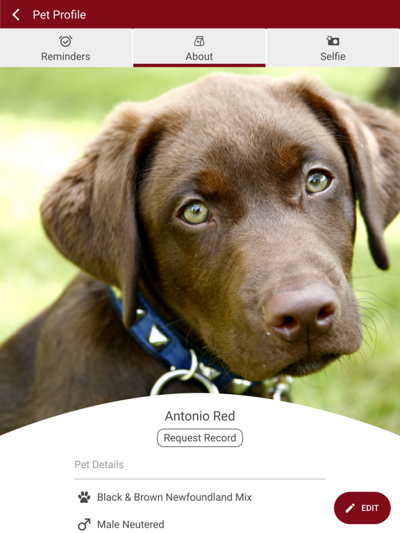 Oconomowoc Animal Hospital iPad screenshot 3 - Business app